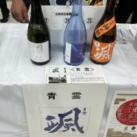 颯