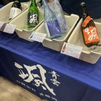 颯