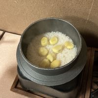 谷川のめぐみのレビュー by_ドフラミンゴ
