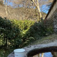 つげのひむろ (都祁氷室)のレビュー by_ドフラミンゴ