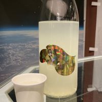 越弌のレビュー by_ドフラミンゴ