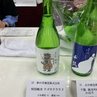 神の井