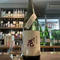 佐久乃花のレビュー by_ドフラミンゴ