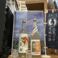 桜翔