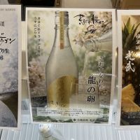 きまぐれドラゴンのレビュー by_ドフラミンゴ