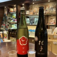豊の梅（豊能梅）
