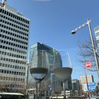 山本のレビュー by_ドフラミンゴ