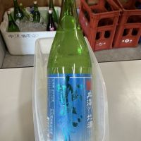 松みどり