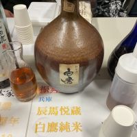 白鷹