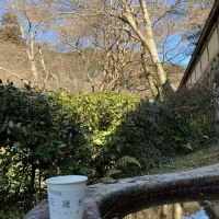 みむろ杉のレビュー by_ドフラミンゴ