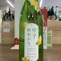 甲子のレビュー by_ドフラミンゴ