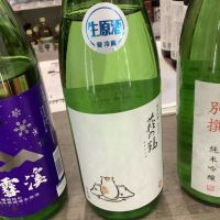 
            萩の鶴_
            ドフラミンゴさん