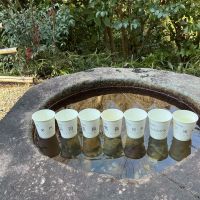 つげのひむろ (都祁氷室)のレビュー by_ドフラミンゴ