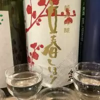 人気一_ドフラミンゴさん