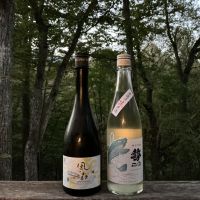 風の森