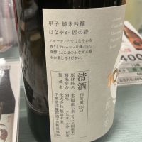 甲子のレビュー by_ドフラミンゴ