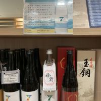 七冠馬