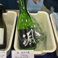 颯