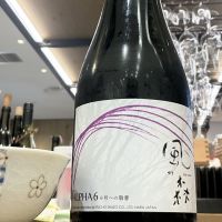 風の森のレビュー by_ドフラミンゴ