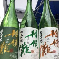 
            相模灘_
            ドフラミンゴさん