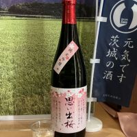思い出桜のレビュー by_ドフラミンゴ