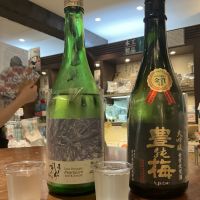 土佐しらぎく