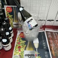 世嬉の一