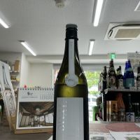 総乃寒菊