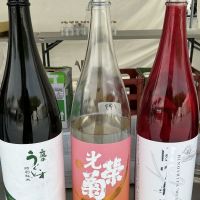 光栄菊のレビュー by_ドフラミンゴ