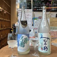 光栄菊