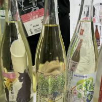 三芳菊