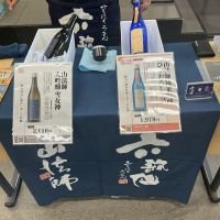 山法師
