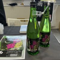 菊勇