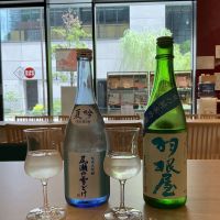 尾瀬の雪どけ