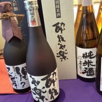 
            松の花_
            ドフラミンゴさん