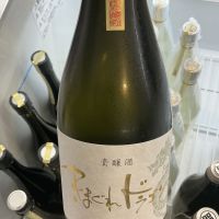 きまぐれドラゴン