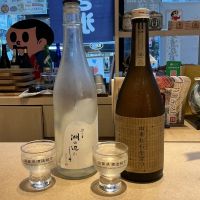 湖の辺にして