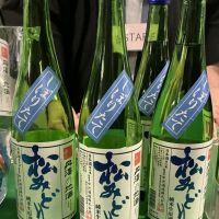 松みどり
