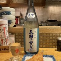 尾瀬の雪どけ