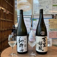 和井田