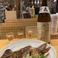 十四代のレビュー by_ドフラミンゴ