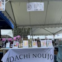 MIYOIのレビュー by_ドフラミンゴ