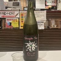 土佐しらぎく