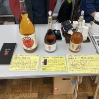 達磨正宗