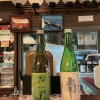 土佐しらぎく