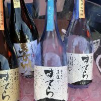 すてら