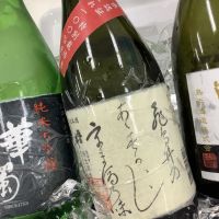 
            飛鳥井_
            ドフラミンゴさん