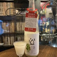 シン・ツチダ