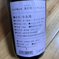 風が吹くのレビュー by_chicken