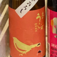 
            庭のうぐいす_
            マーティンさん